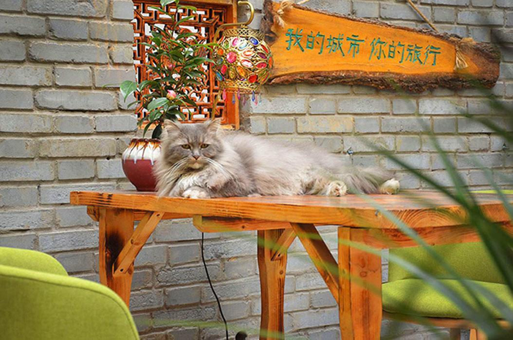 Luoyang Longmen Youth Hostel Εξωτερικό φωτογραφία